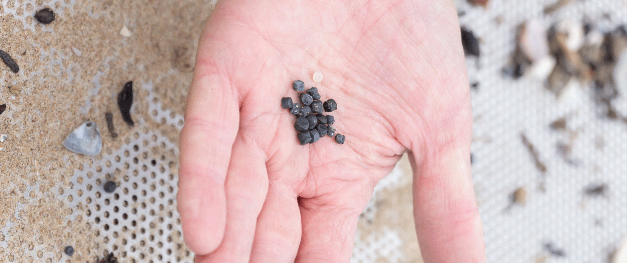 Black biobeads collected in someone's hand