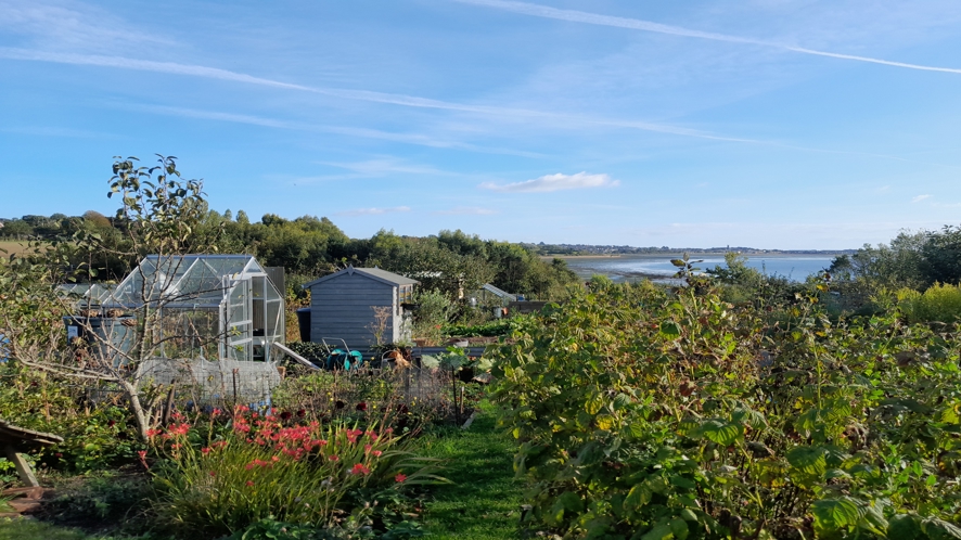 Heathfield Allotment Trust Stick Their Butts Out- image