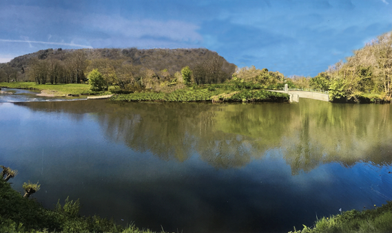 River with fish pass hidden by vegetation on far bank