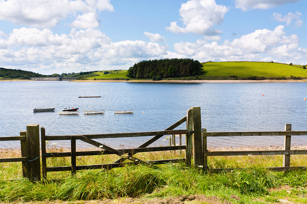 Remember: Don't swim in reservoirs image