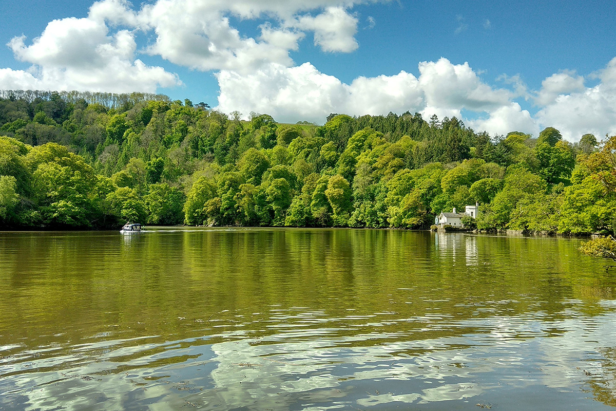 Our river bathing water pilot image